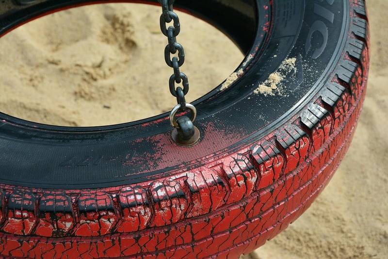 Backyard Tire Swing